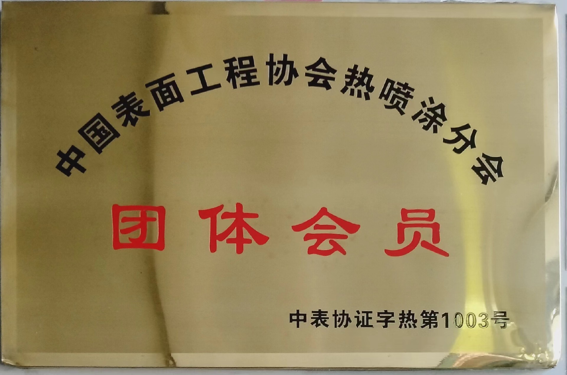 中国表面工程协会团体会员.jpg